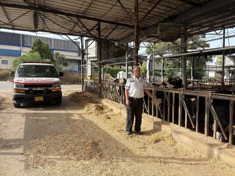 The Land of milk and medics